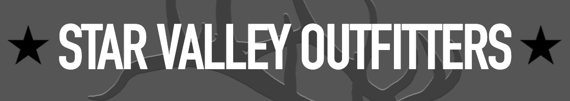 SVO_Banner